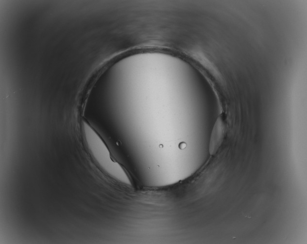 X0000089451356200706291436