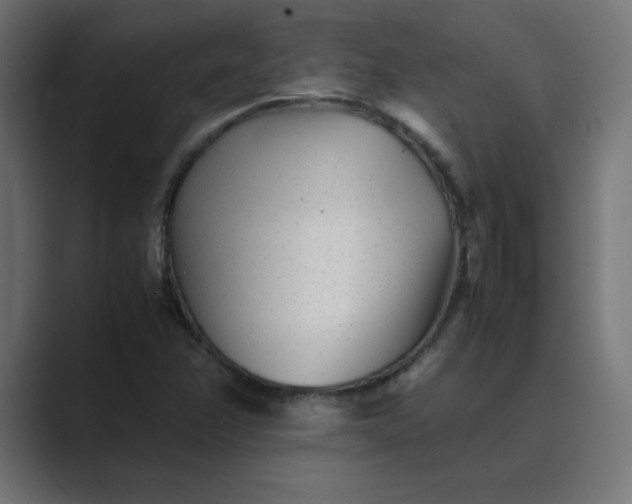 X0000089451358200706291436