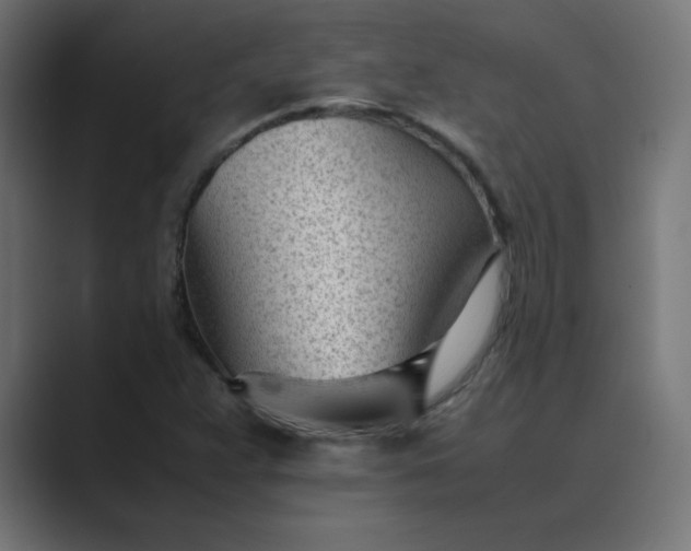 X0000089451359200706291436