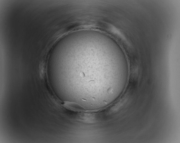 X0000089451361200706291436
