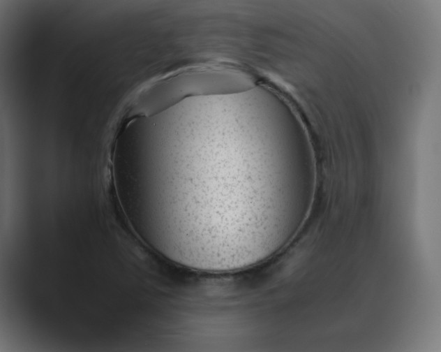 X0000089451363200706291435
