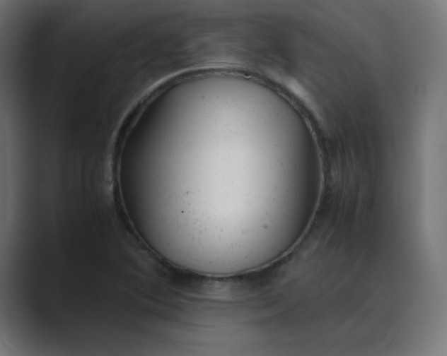 X0000089451364200706291435