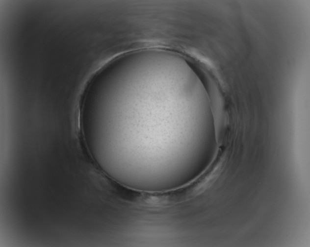 X0000089451365200706291435