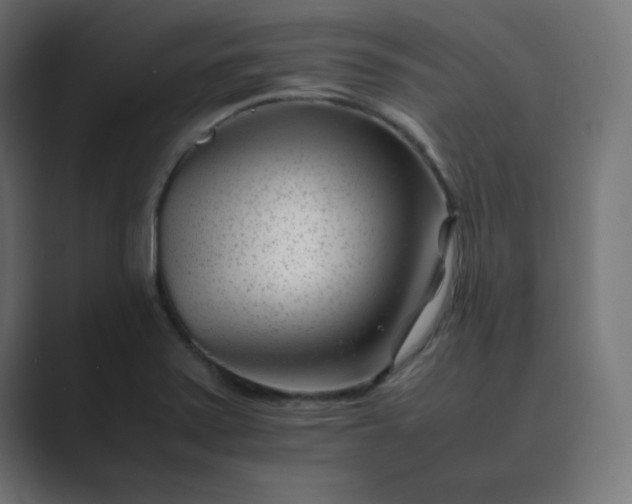 X0000089451371200706291435