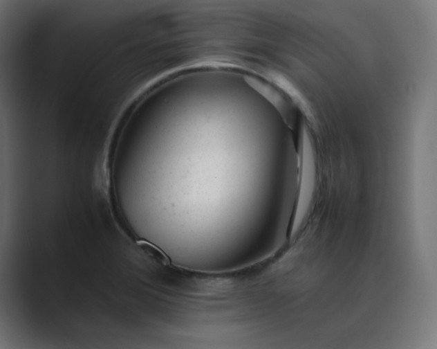 X0000089451372200706291435