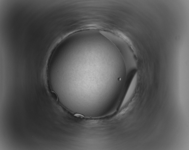 X0000089451373200706291435
