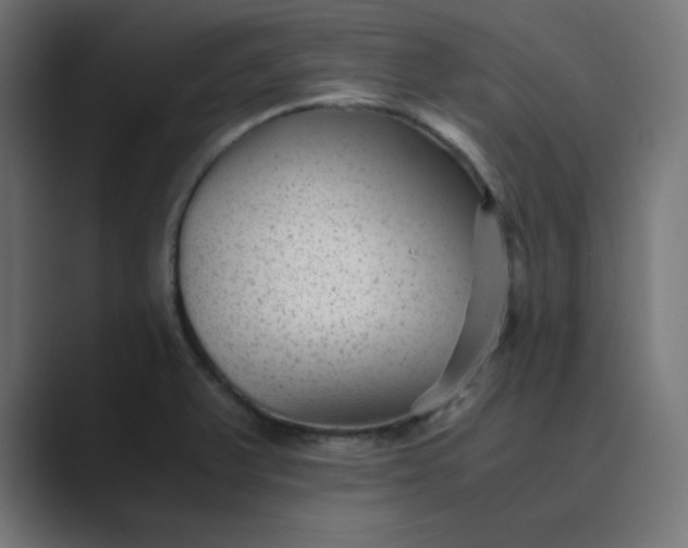 X0000089451375200706291435