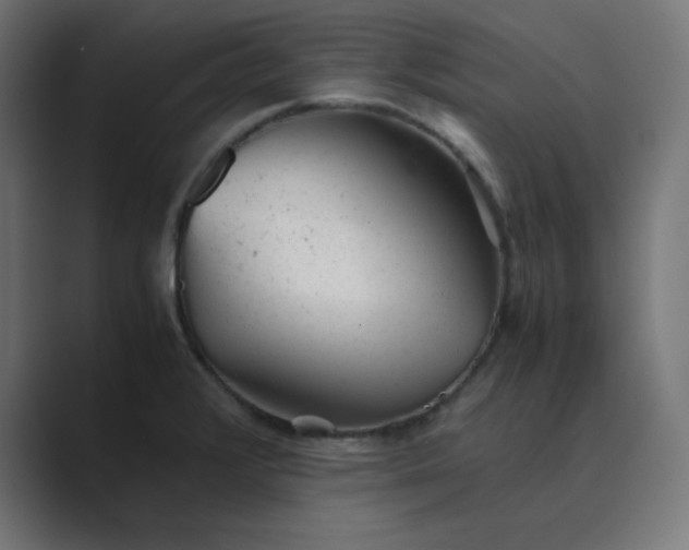 X0000089451376200706291435