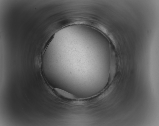 X0000089451377200706291435