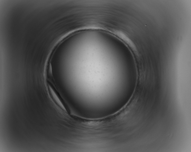 X0000089451380200706291435