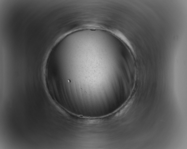 X0000089451381200706291435