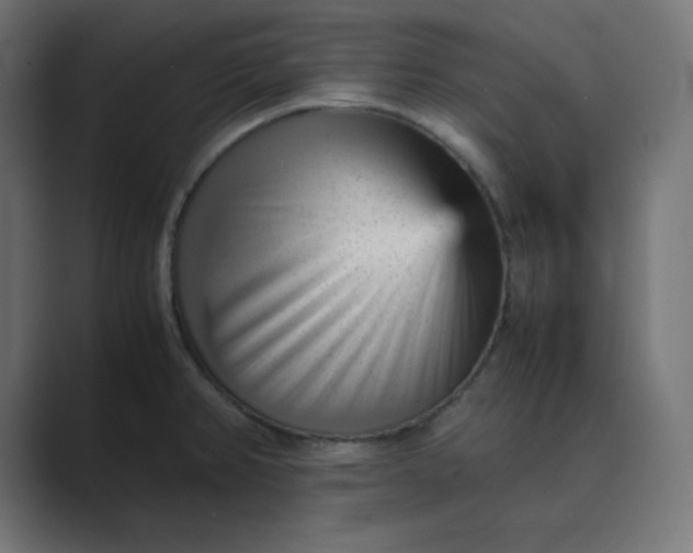 X0000089451382200706291435