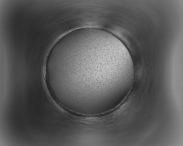 X0000089451383200706291435