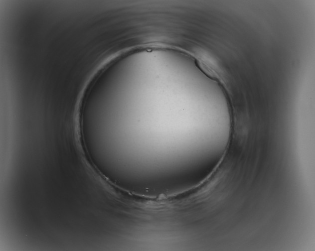 X0000089451384200706291435