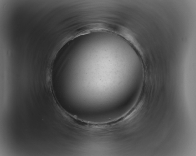 X0000089451385200706291435