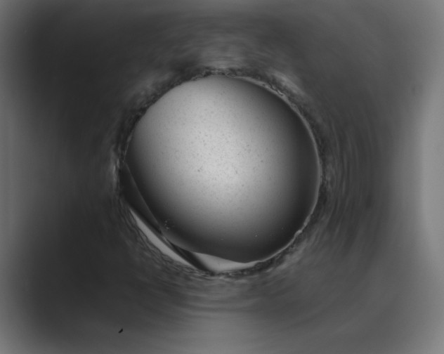 X0000089451398200706291435