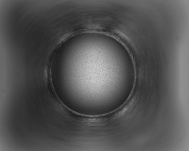 X0000089451401200706291435
