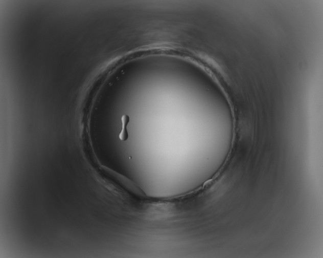 X0000089451406200706291435