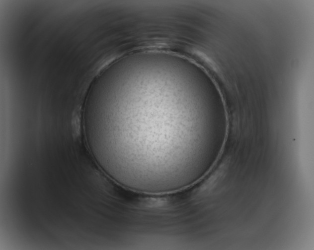 X0000089451409200706291435