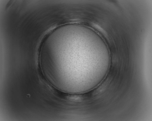 X0000089451411200706291435