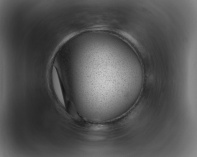 X0000089451413200706291435