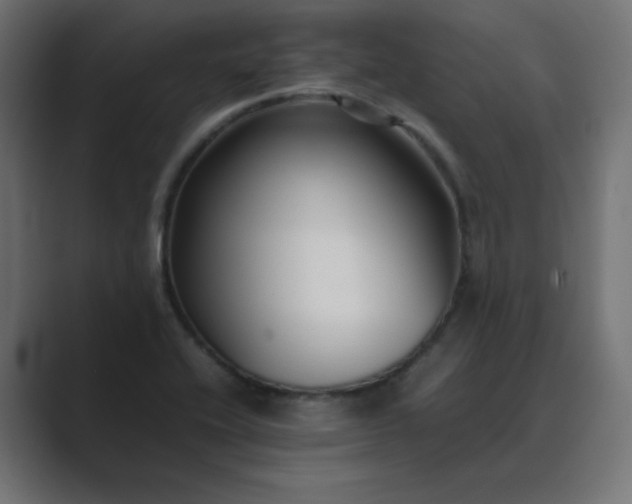 X0000089451416200706291435