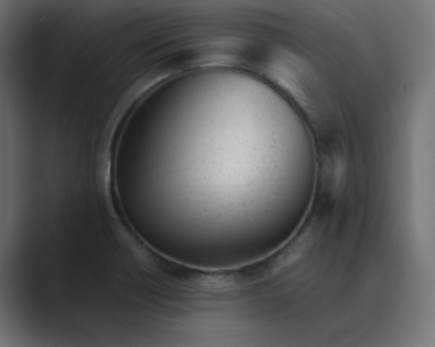 X0000089451418200706291435