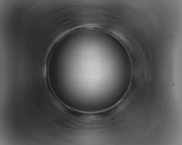 X0000089451420200706291435