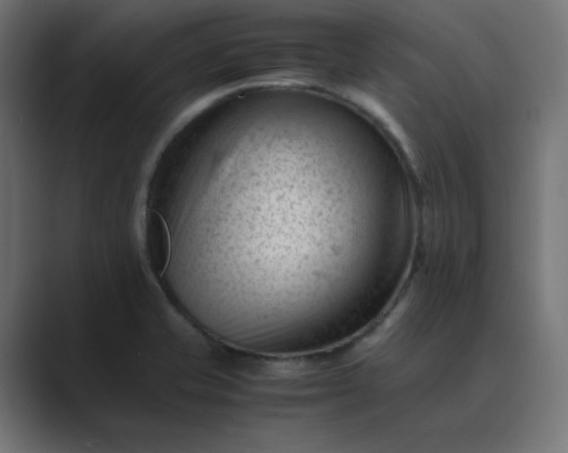 X0000089451421200706291435