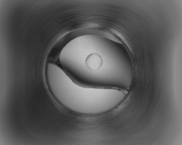 X0000089451426200706291435
