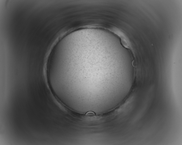 X0000089451429200706291435