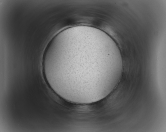 X0000089451431200706291435