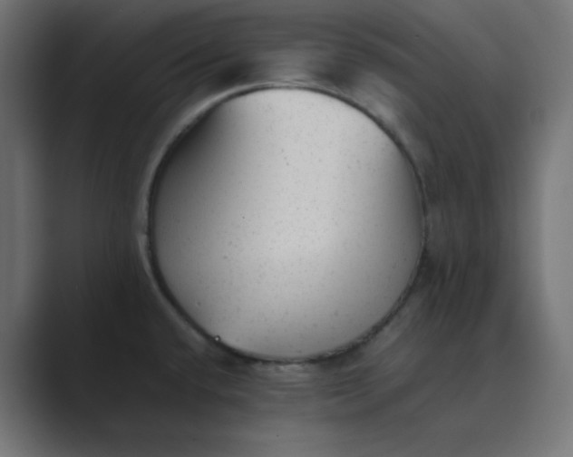 X0000089451432200706291435