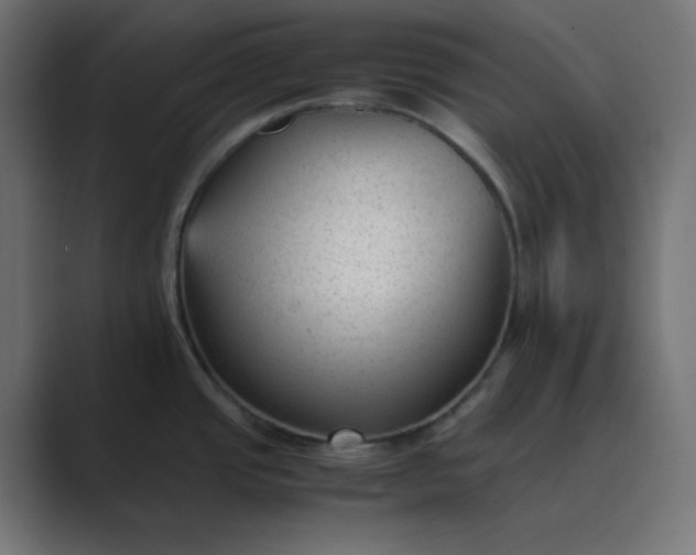 X0000089451437200706291435