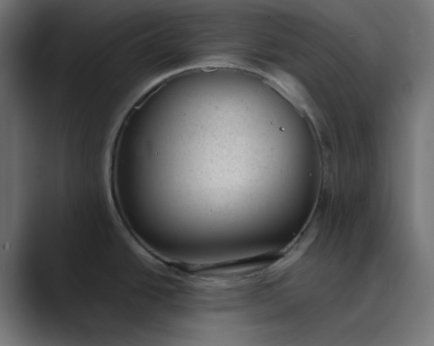 X0000089451438200706291435