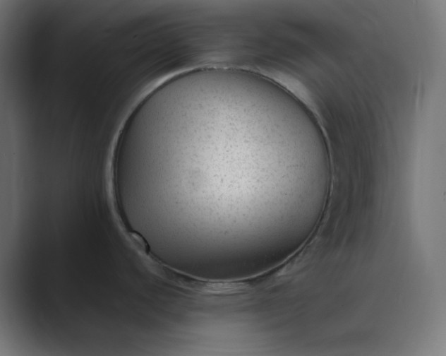 X0000089451440200706291435