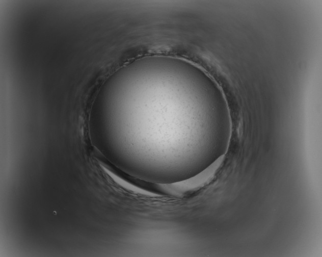 X0000089451445200706291435