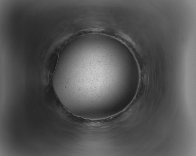 X0000089451448200706291434