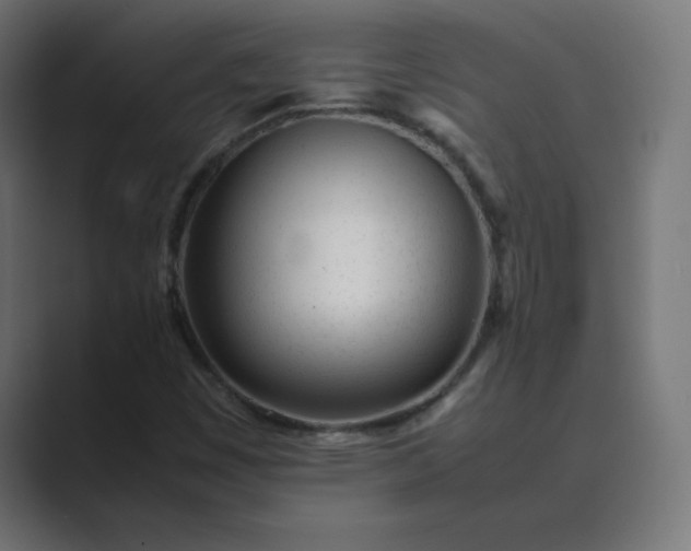 X0000089451449200706291434