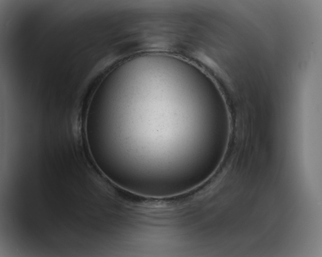 X0000089451450200706291434