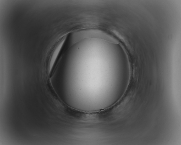 X0000089451453200706291434