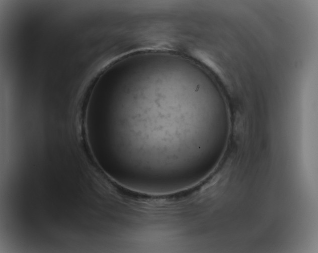 X0000089451455200706291434
