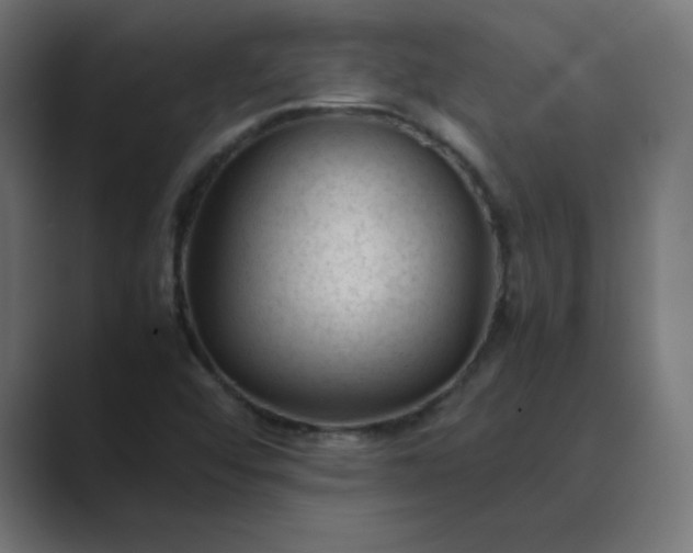 X0000089451456200706291434