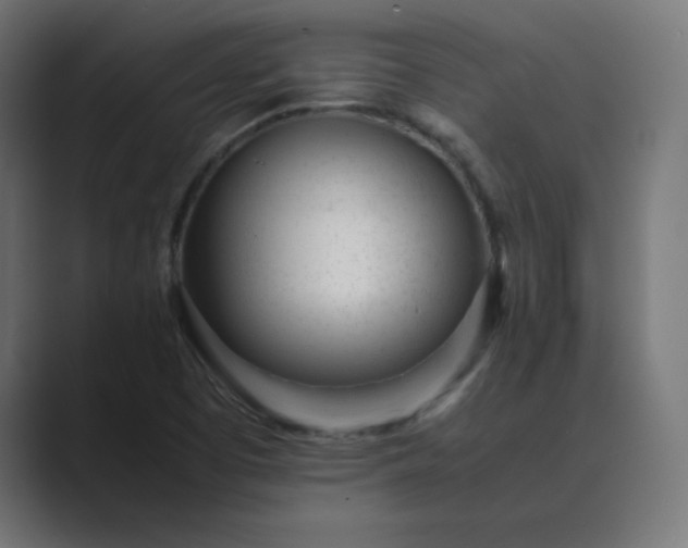 X0000089451457200706291434