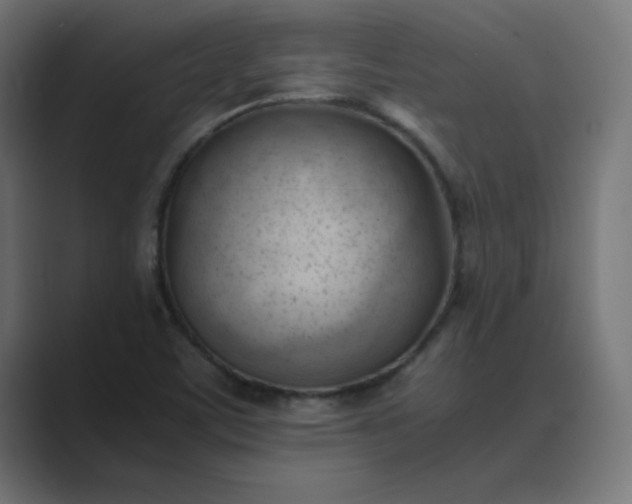 X0000089451459200706291434