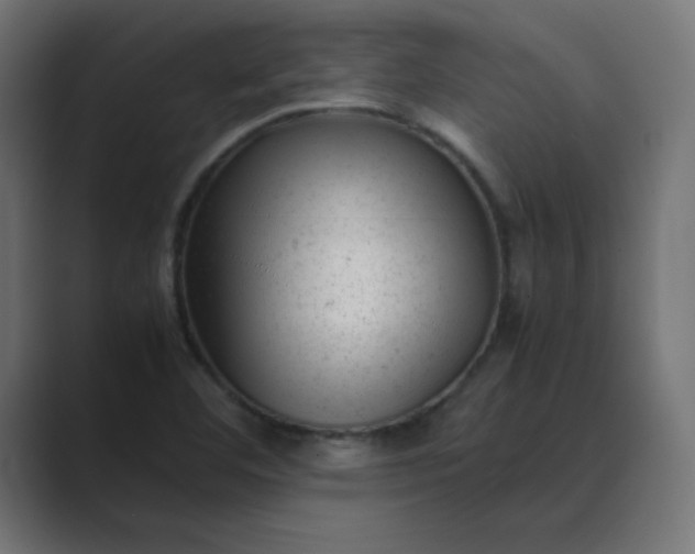X0000089451460200706291434