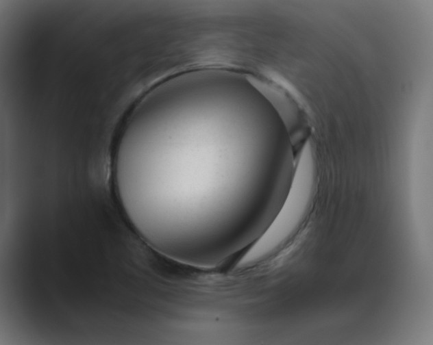 X0000089451461200706291434