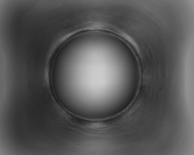 X0000089451464200706291434
