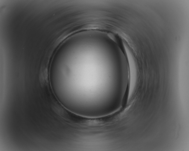 X0000089451465200706291434