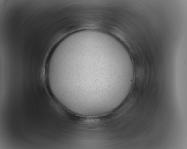 X0000089451466200706291434